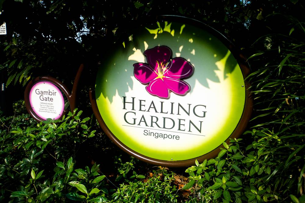 Healing Garden IN SINGAPORE BOTANIC GARDENS